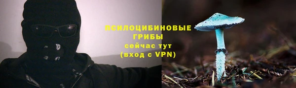 тгк Покачи