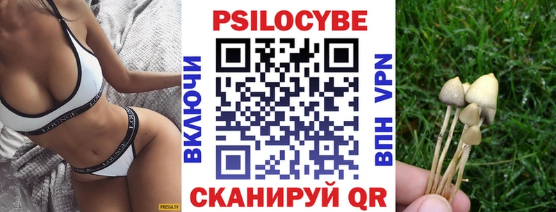 Псилоцибиновые грибы мухоморы Вышний Волочёк